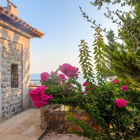 Frictories Station Of Residency Guest house Limnionas (Central Greece)